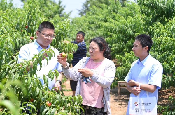 ����ũ������Ϊ��ֲ�����ʽ�